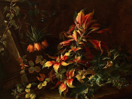 Niccolino van Houbraken, auch „Nicola van Houbraken“, 1663 – 1723/24